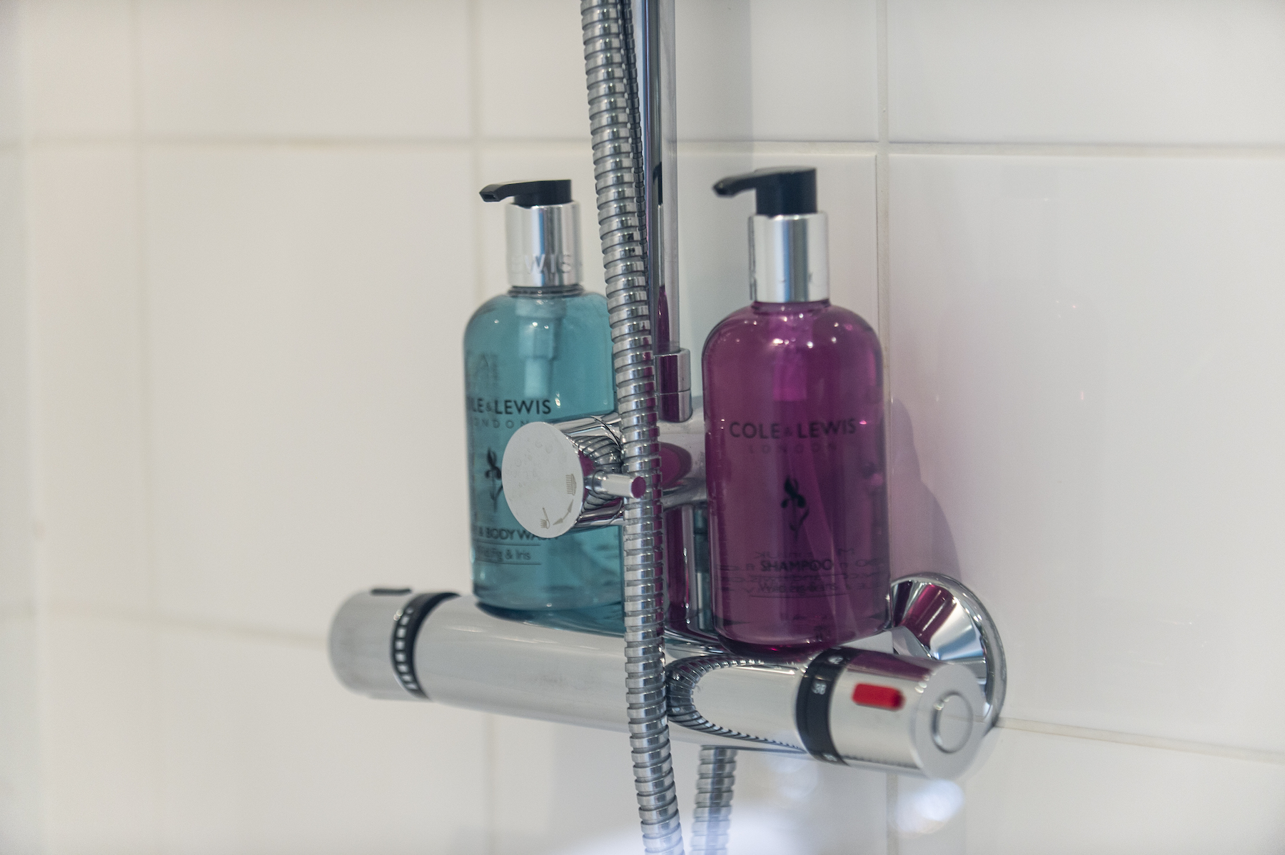 Bathroom details at Rock House